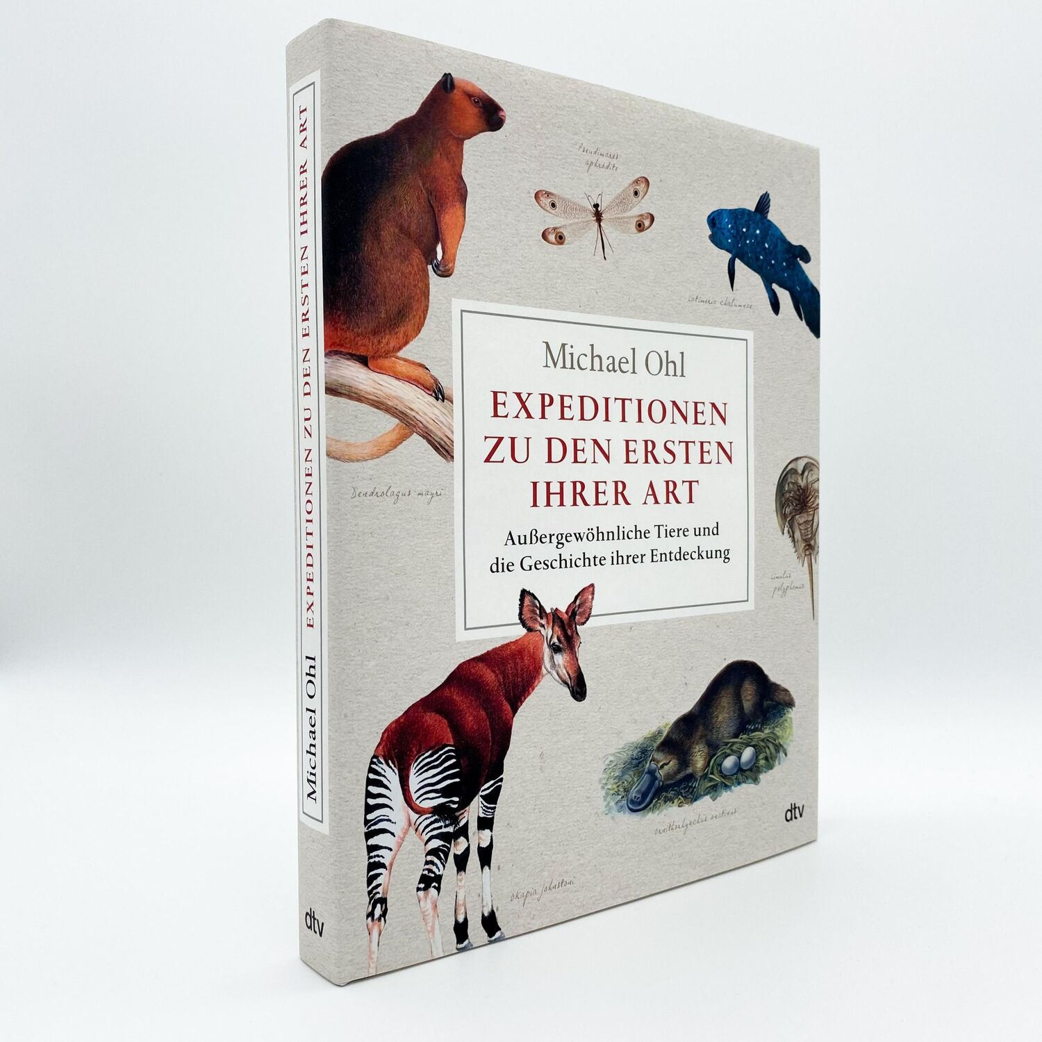 Bild: 9783423290432 | Expeditionen zu den Ersten ihrer Art | Michael Ohl | Buch | 304 S.