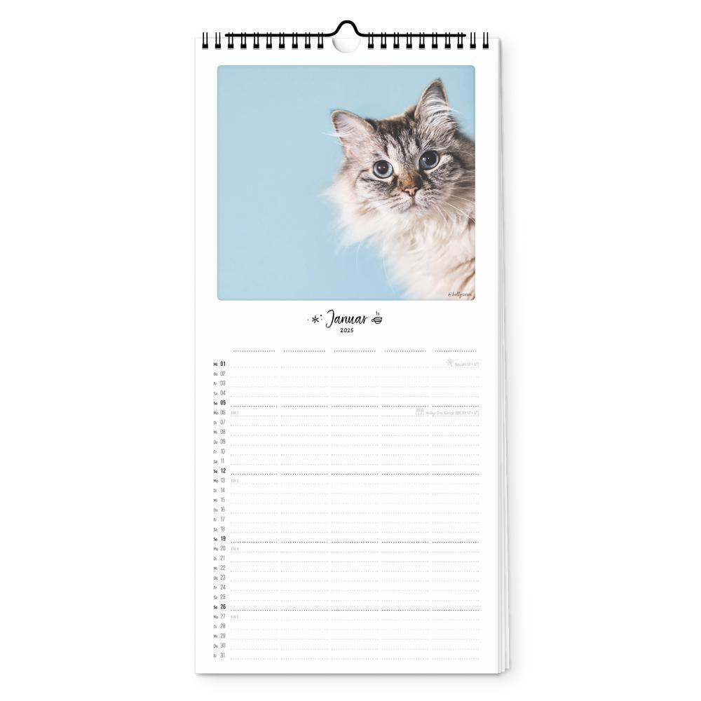 Bild: 4251781179454 | Familienplaner 2025 - Katz &amp; Kater | 5 Spalten | Pickmotion | Kalender