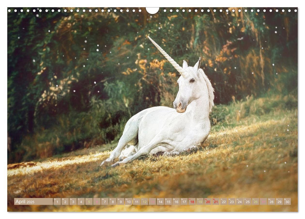 Bild: 9783383960000 | Einhorn Zauber - anmutige Einhornbilder (Wandkalender 2025 DIN A3...