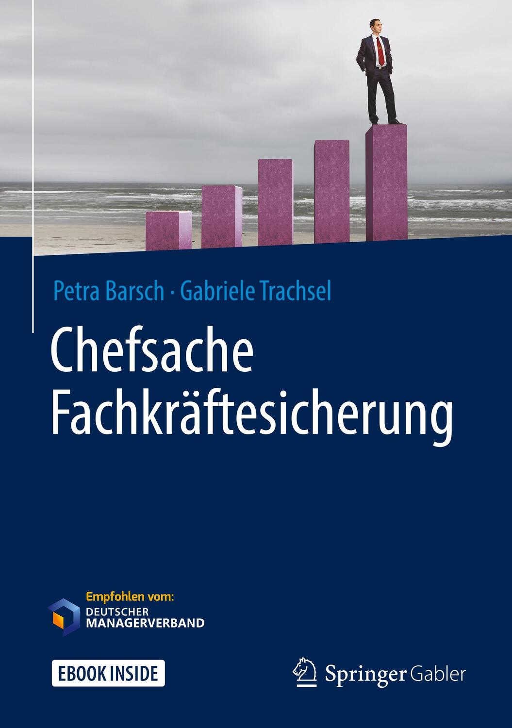 Cover: 9783658172718 | Chefsache Fachkräftesicherung | Petra Barsch (u. a.) | Buch | XIV