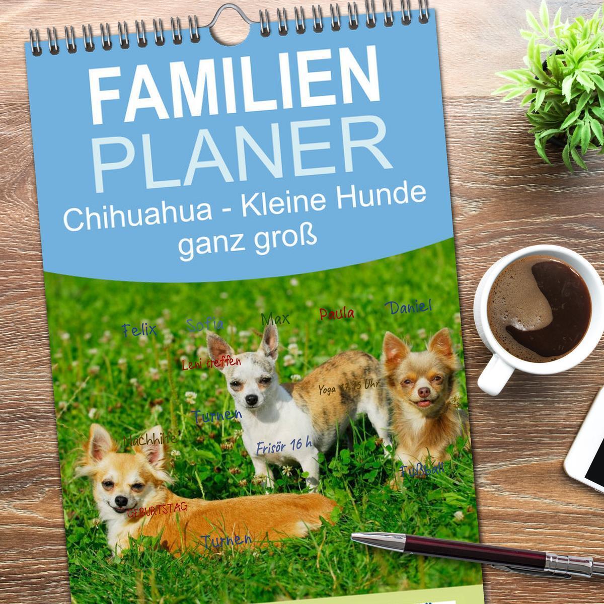 Bild: 9783457110492 | Familienplaner 2025 - Chihuahua - Kleine Hunde ganz groß mit 5...