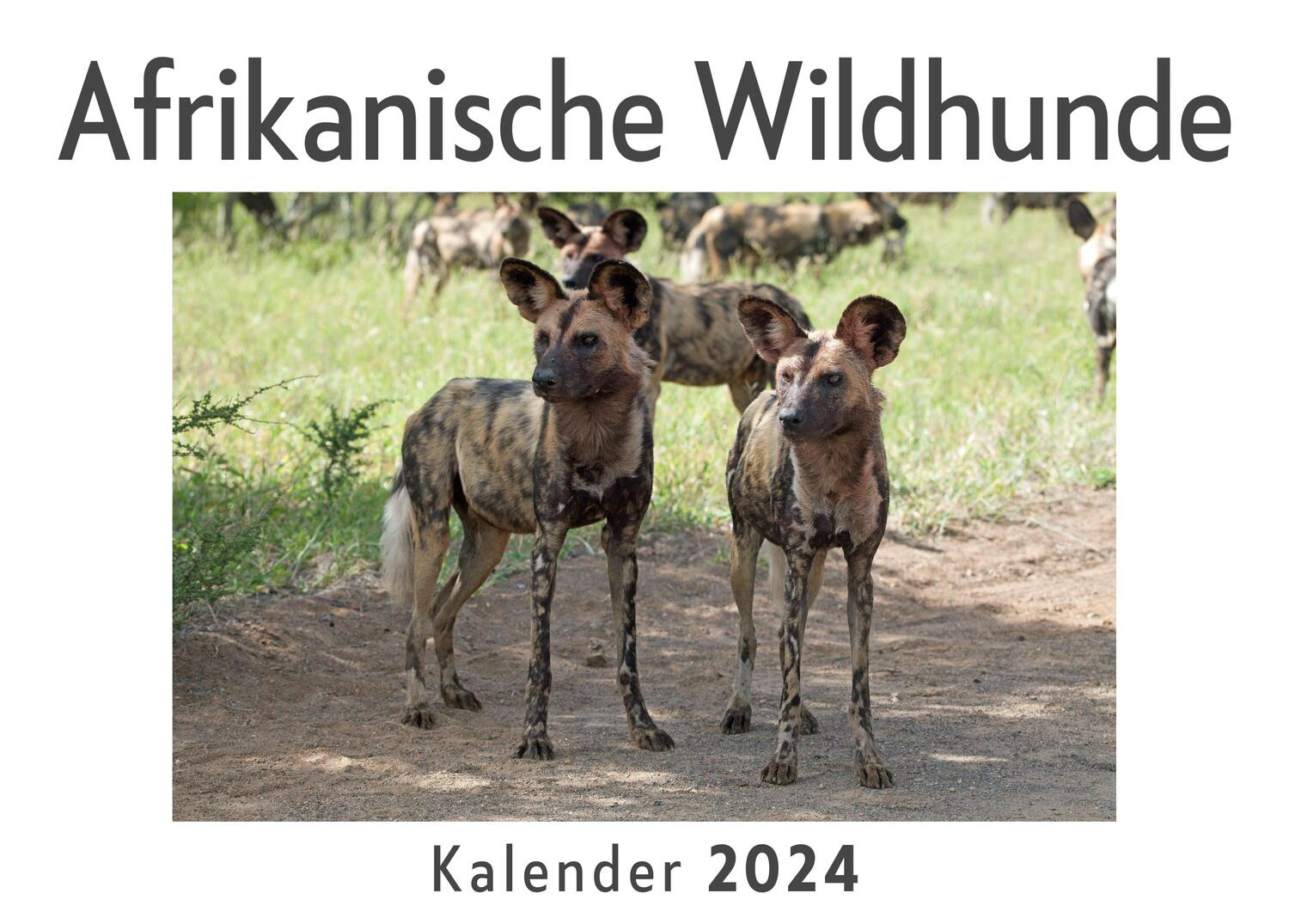 Cover: 9783750553057 | Afrikanische Wildhunde (Wandkalender 2024, Kalender DIN A4 quer,...