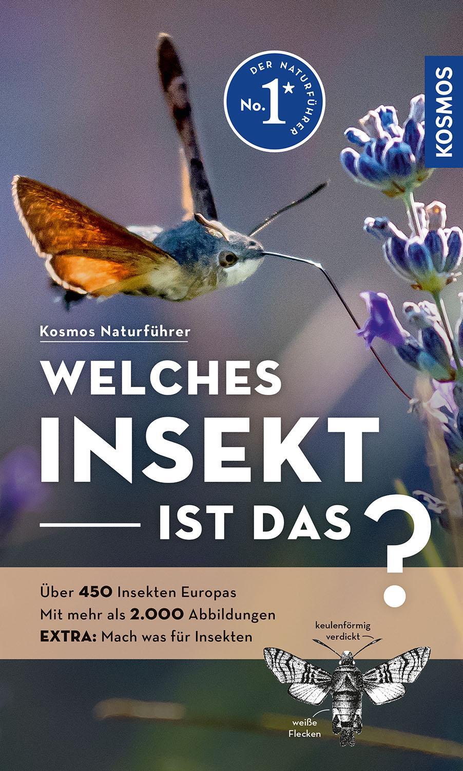 Cover: 9783440180006 | Welches Insekt ist das? | Heiko Bellmann | Taschenbuch | 272 S. | 2024