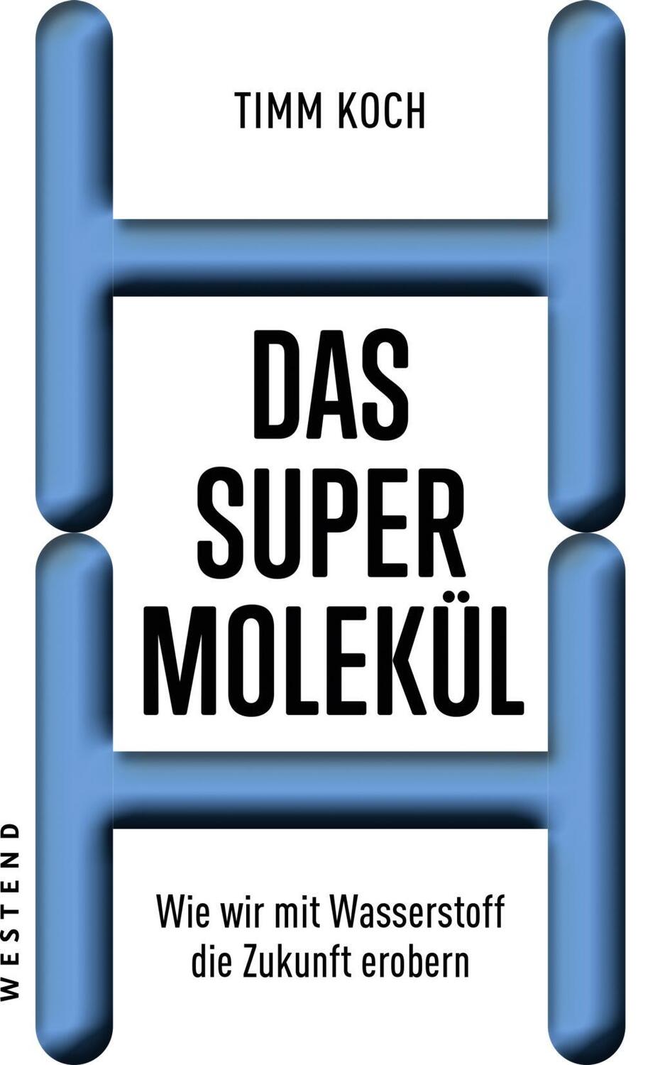 Cover: 9783864892400 | Das Supermolekül | Wie wir mit Wasserstoff die Zukunft erobern | Koch