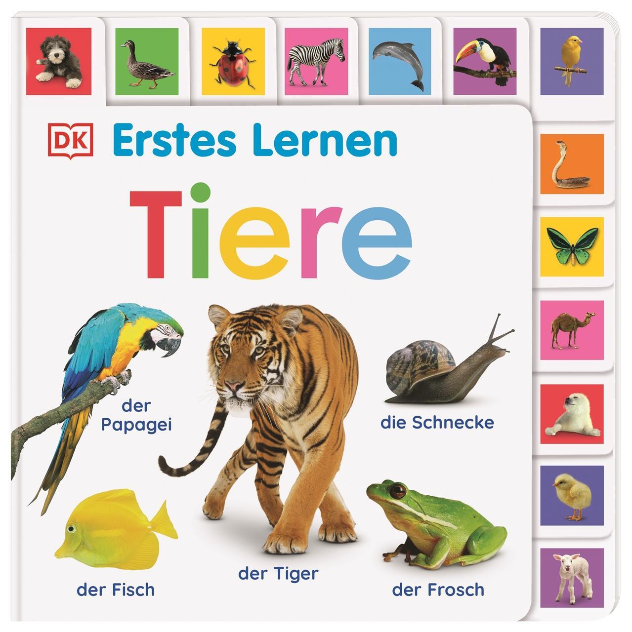 Cover: 9783831044160 | Erstes Lernen. Tiere | Buch | Erstes Lernen | 28 S. | Deutsch | 2021