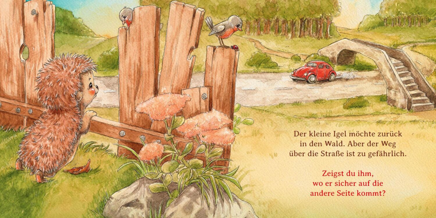 Bild: 9783414826176 | Schlaf schön, kleiner Igel (Mini-Ausgabe) | Sophie Schoenwald | Buch