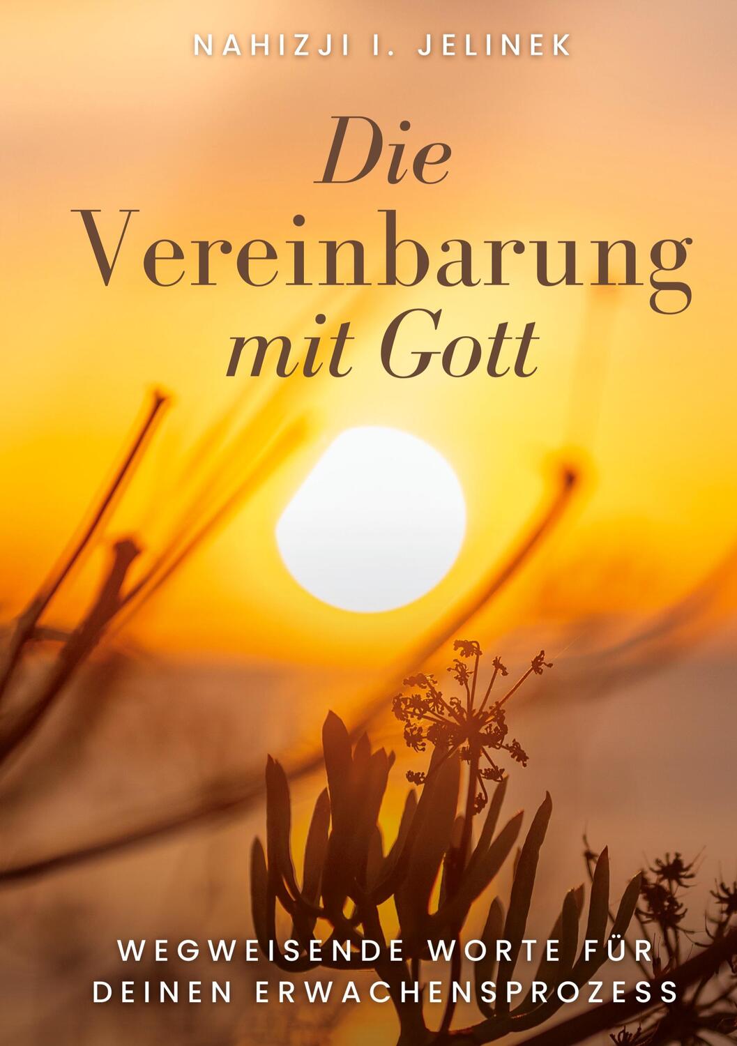 Cover: 9783758315268 | Die Vereinbarung mit Gott | Nahizji I. Jelinek | Buch | 152 S. | 2023