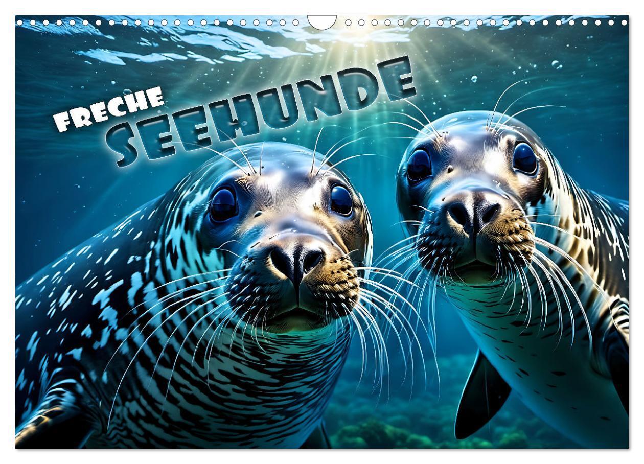 Cover: 9783383740022 | Freche Seehunde (Wandkalender 2024 DIN A3 quer), CALVENDO...