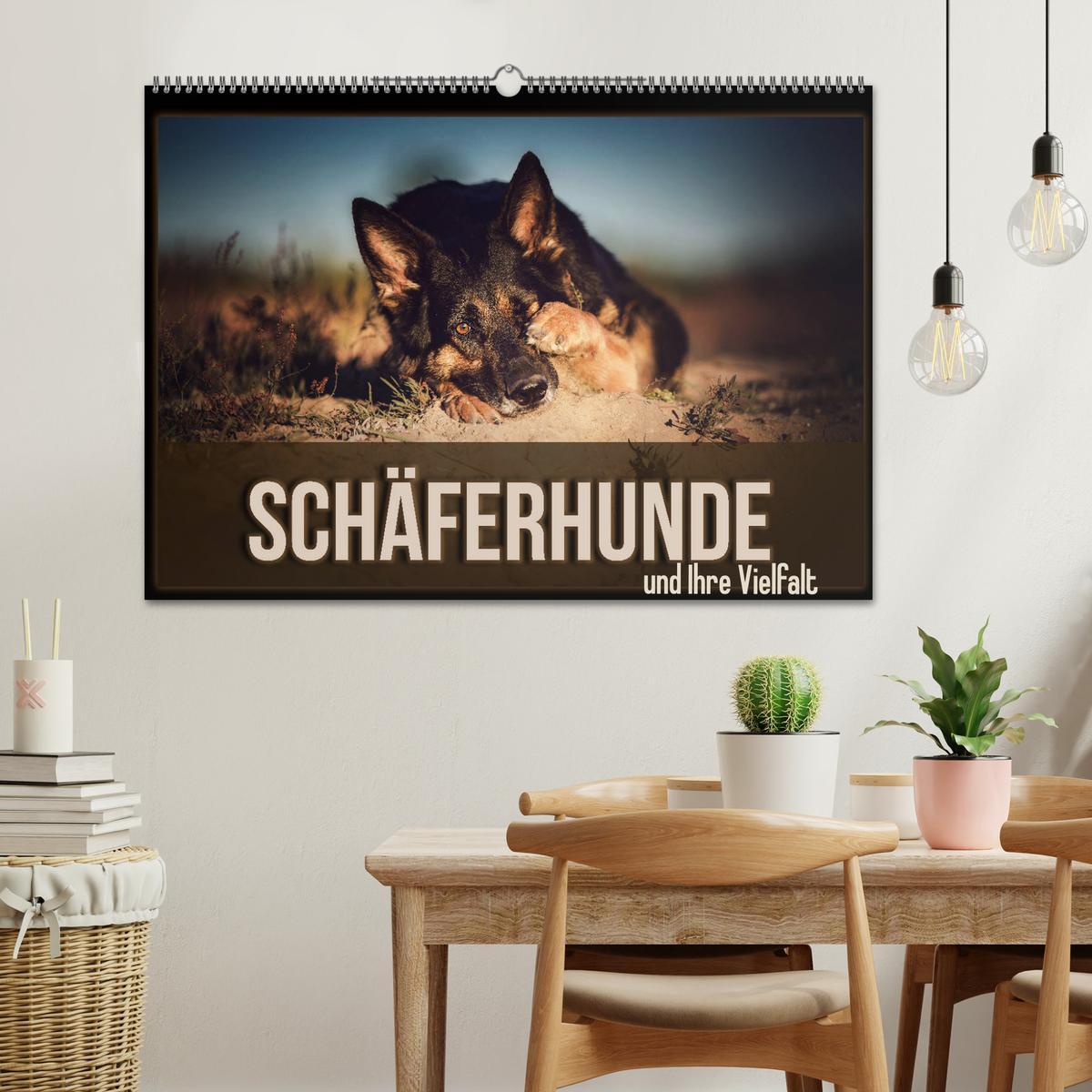 Bild: 9783435350315 | Schäferhunde und Ihre Vielfalt (Wandkalender 2025 DIN A2 quer),...