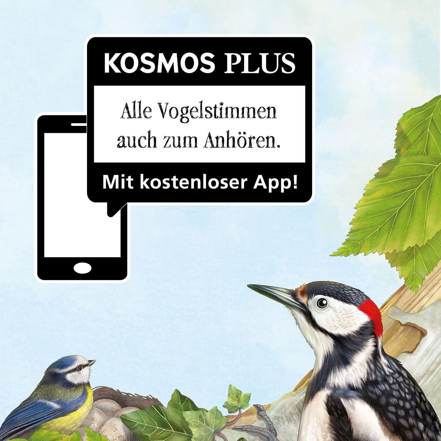 Bild: 9783440169650 | Mein Vogelbuch | Mit unseren Vögeln durch das Jahr | Svenja Ernsten