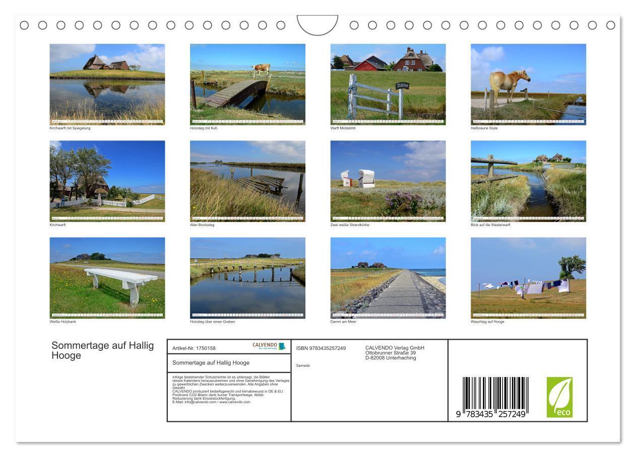 Bild: 9783435257249 | Sommertage auf Hallig Hooge (Wandkalender 2025 DIN A4 quer),...