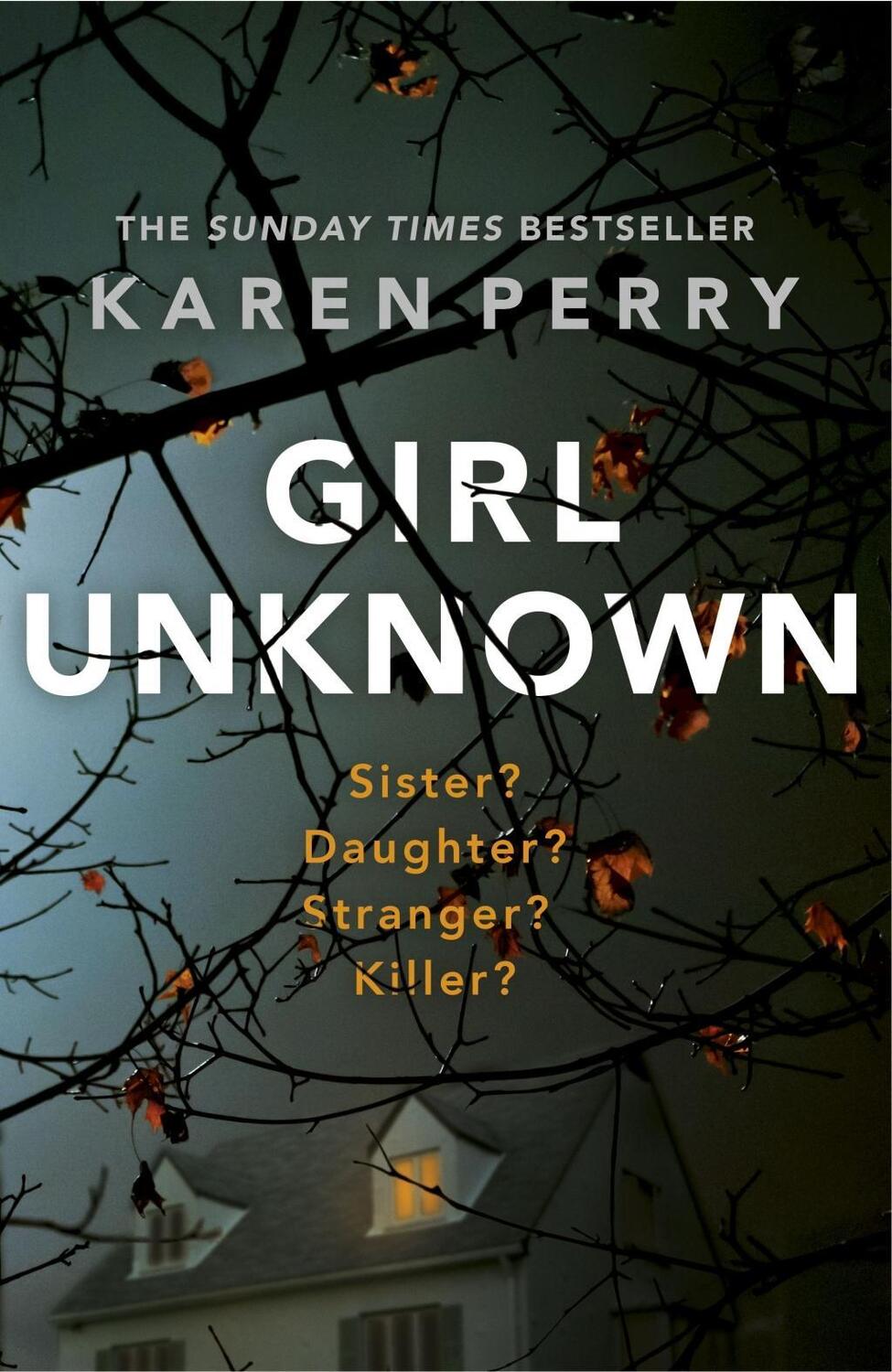 Cover: 9781405920308 | Girl Unknown | Karen Perry | Taschenbuch | Englisch | 2016
