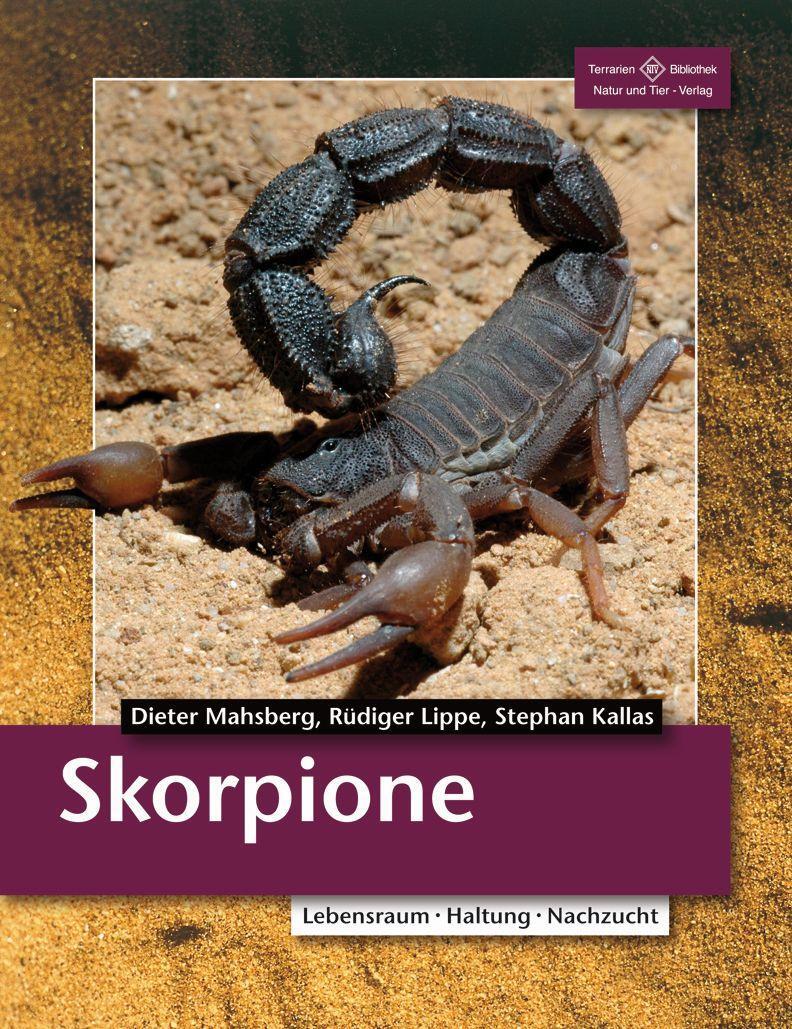 Cover: 9783866591653 | Skorpione | Lebensraum, Haltung, Zucht | Dieter Mahsberg (u. a.)