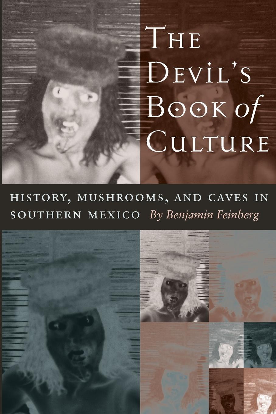 Cover: 9780292701908 | The Devil's Book of Culture | Benjamin Feinberg | Taschenbuch | 2003