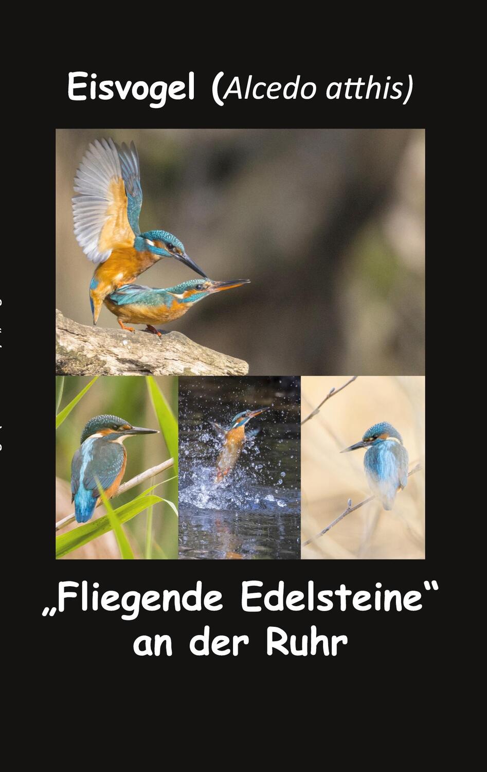 Cover: 9783753480572 | Eisvogel (Alcedo atthis) | "Fliegende Edelsteine" an der Ruhr | Buch