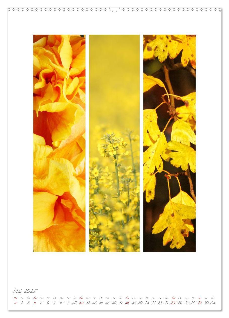 Bild: 9783457022641 | Natur Farben Dreiklang (hochwertiger Premium Wandkalender 2025 DIN...