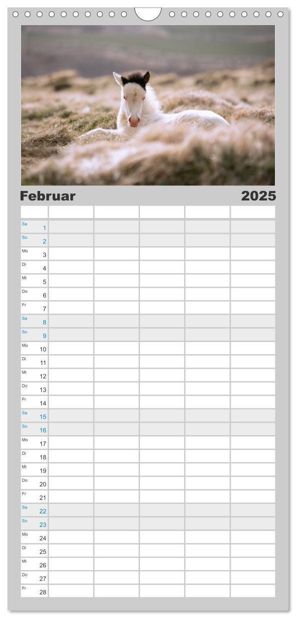 Bild: 9783457101568 | Familienplaner 2025 - Islandpferde Kalender - Pferde von der Insel...