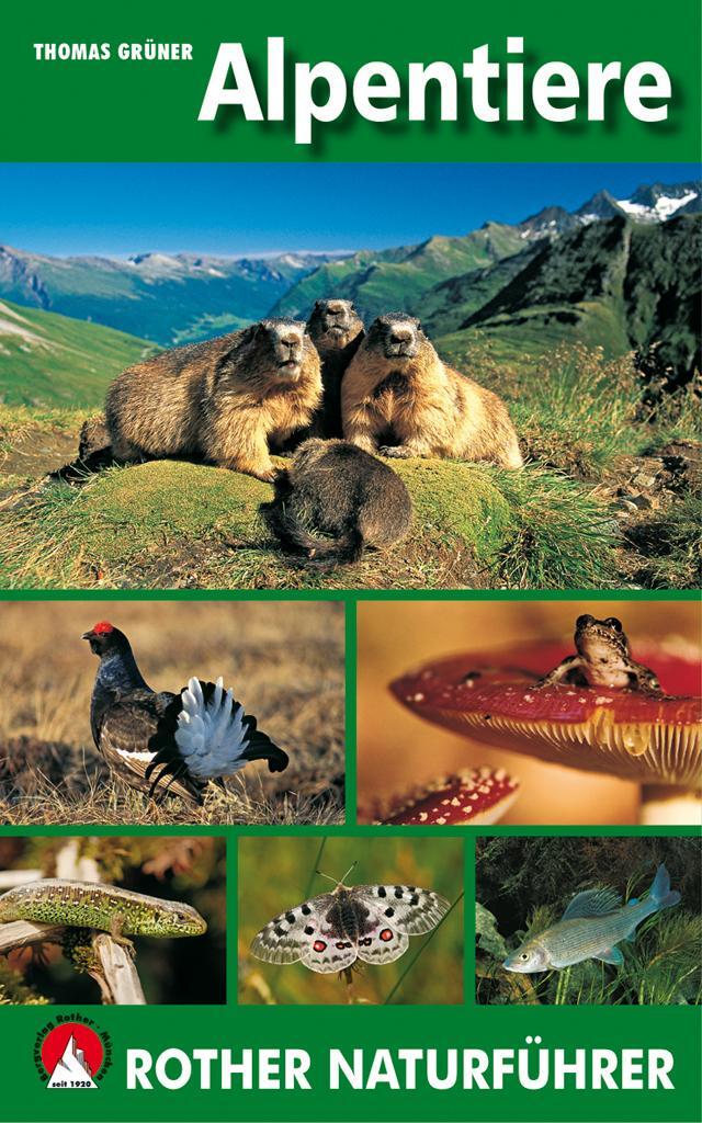 Cover: 9783763361007 | Alpentiere | Thomas Grüner | Taschenbuch | Rother Naturführer | 2015