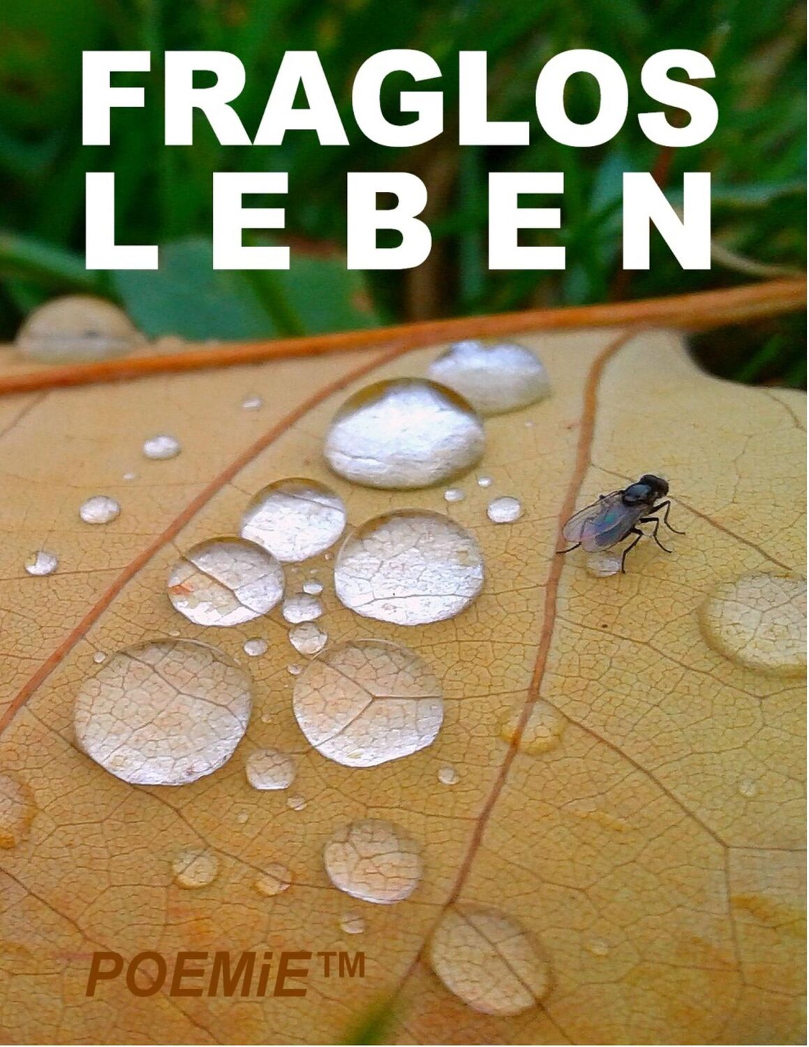 Cover: 9783749448449 | Fraglos LEBEN | 55 Großartige Gedichte 2015-2019 inkl. 103.-108.E.S.