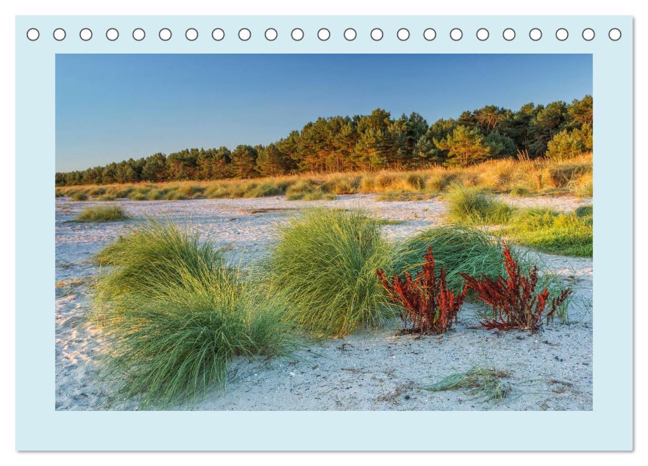 Bild: 9783435616138 | Fischland-Darß-Zingst (Tischkalender 2025 DIN A5 quer), CALVENDO...