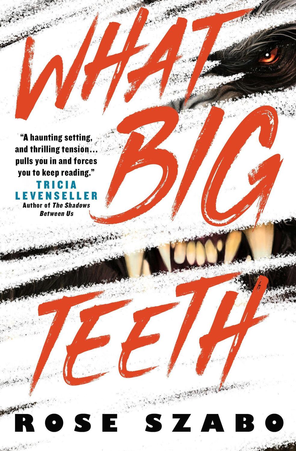 Cover: 9781789097818 | What Big Teeth | Rose Szabo | Taschenbuch | Englisch | 2021