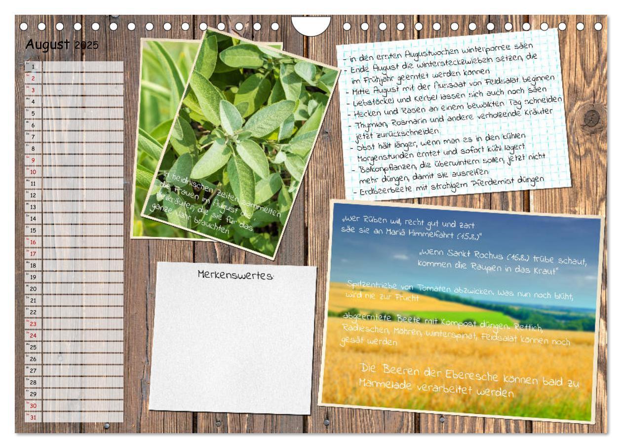 Bild: 9783435133116 | Was ist noch im Garten zu tun? (Wandkalender 2025 DIN A4 quer),...