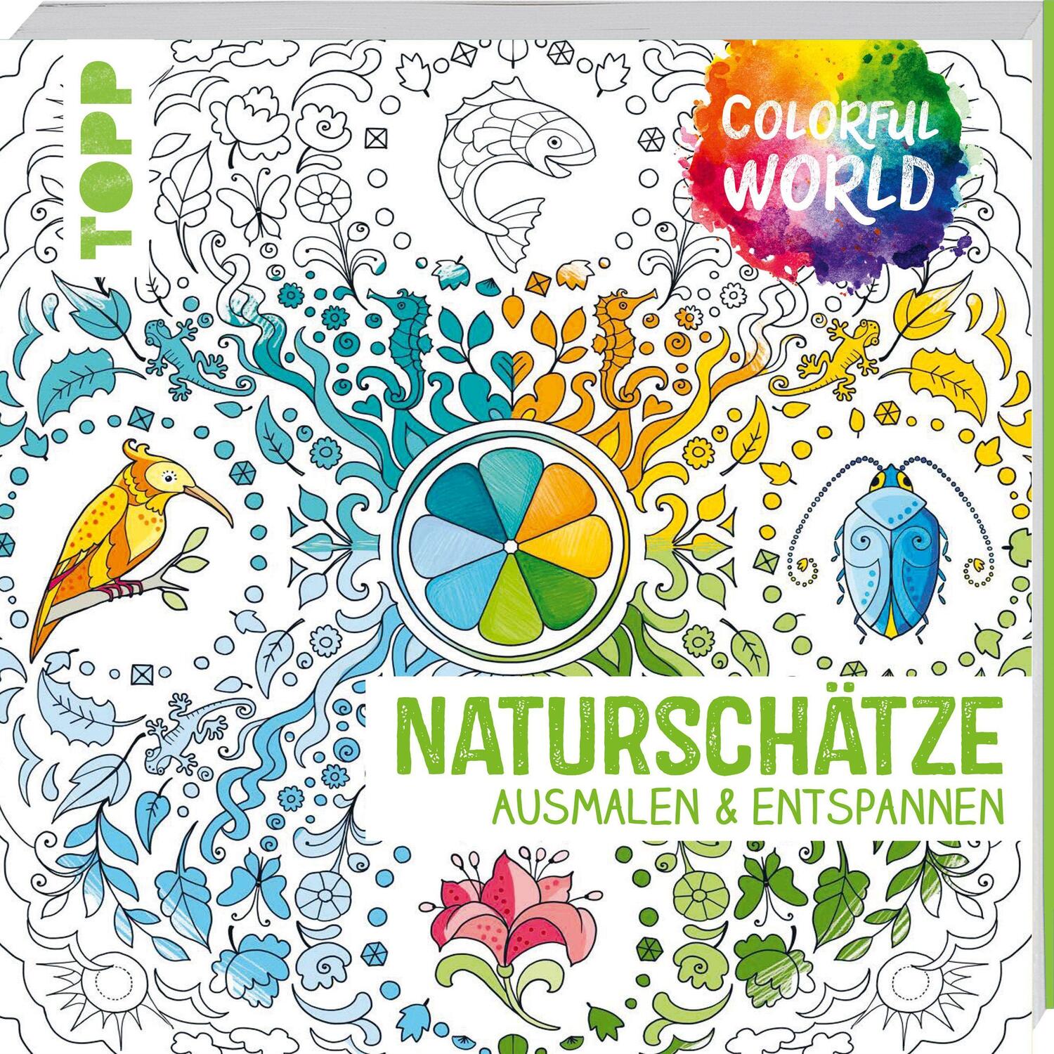 Cover: 9783772447341 | Colorful World - Naturschätze | Ausmalen & entspannen | Taschenbuch