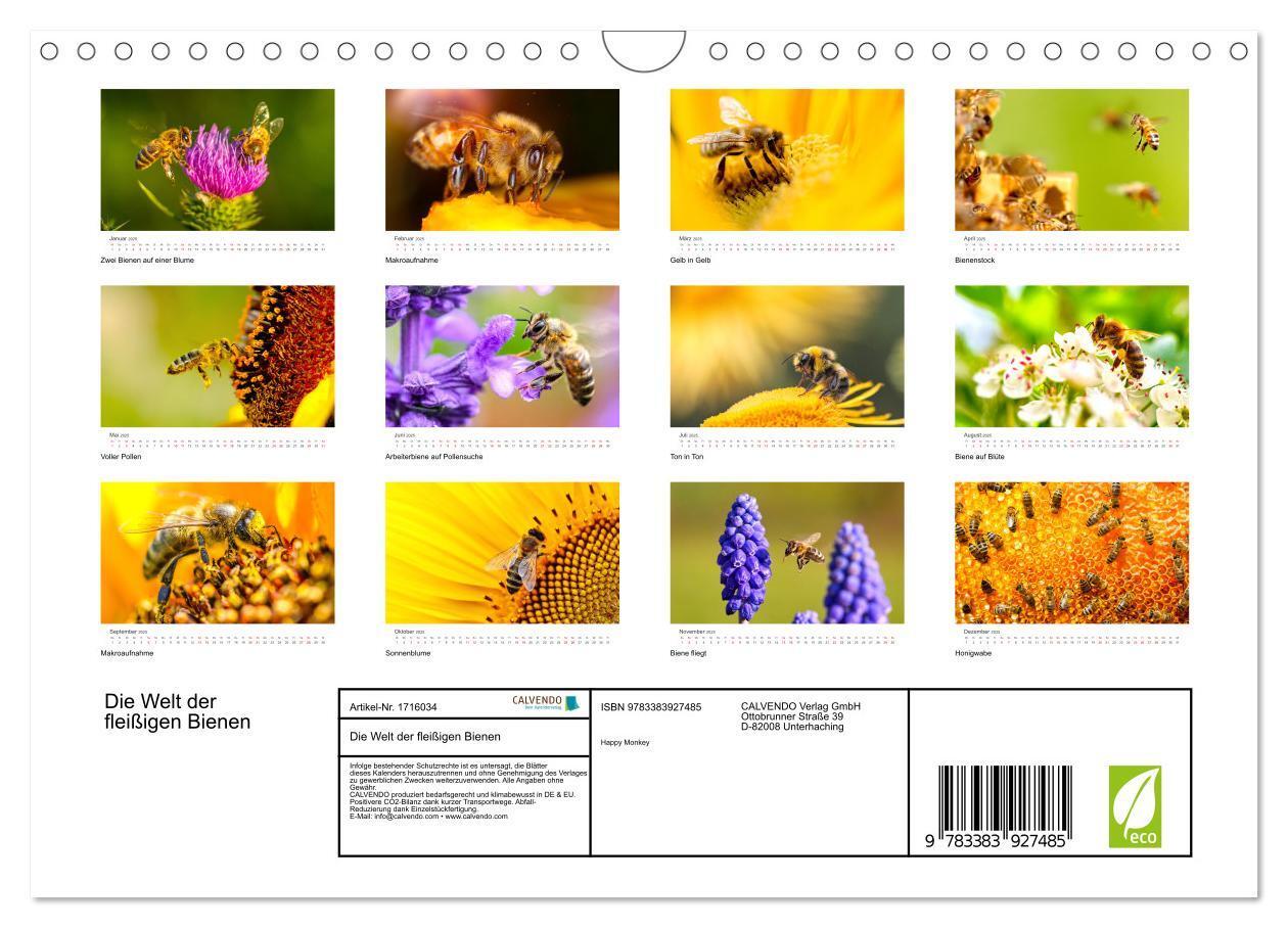 Bild: 9783383927485 | Die Welt der fleißigen Bienen (Wandkalender 2025 DIN A4 quer),...