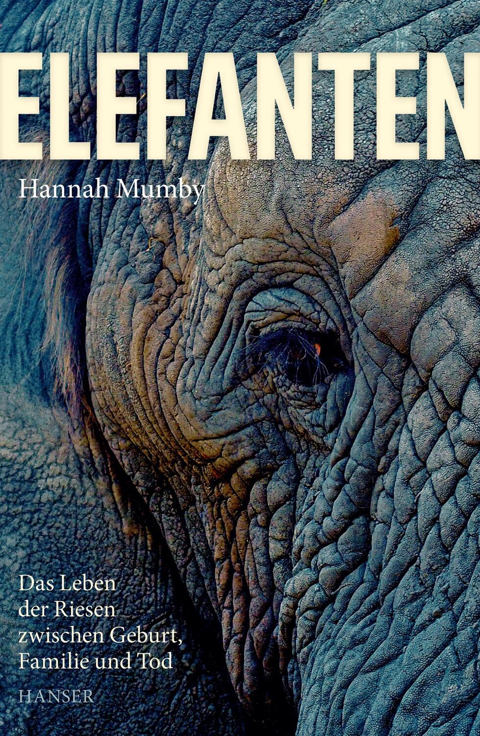 Cover: 9783446269316 | Elefanten | Das Leben der Riesen zwischen Geburt, Familie und Tod