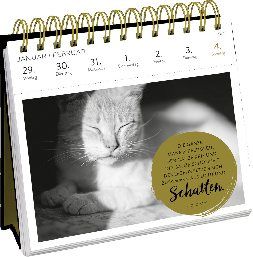 Bild: 4036442010372 | Postkartenkalender 2024: Inspirierende Worte für Katzenfreunde | 54 S.