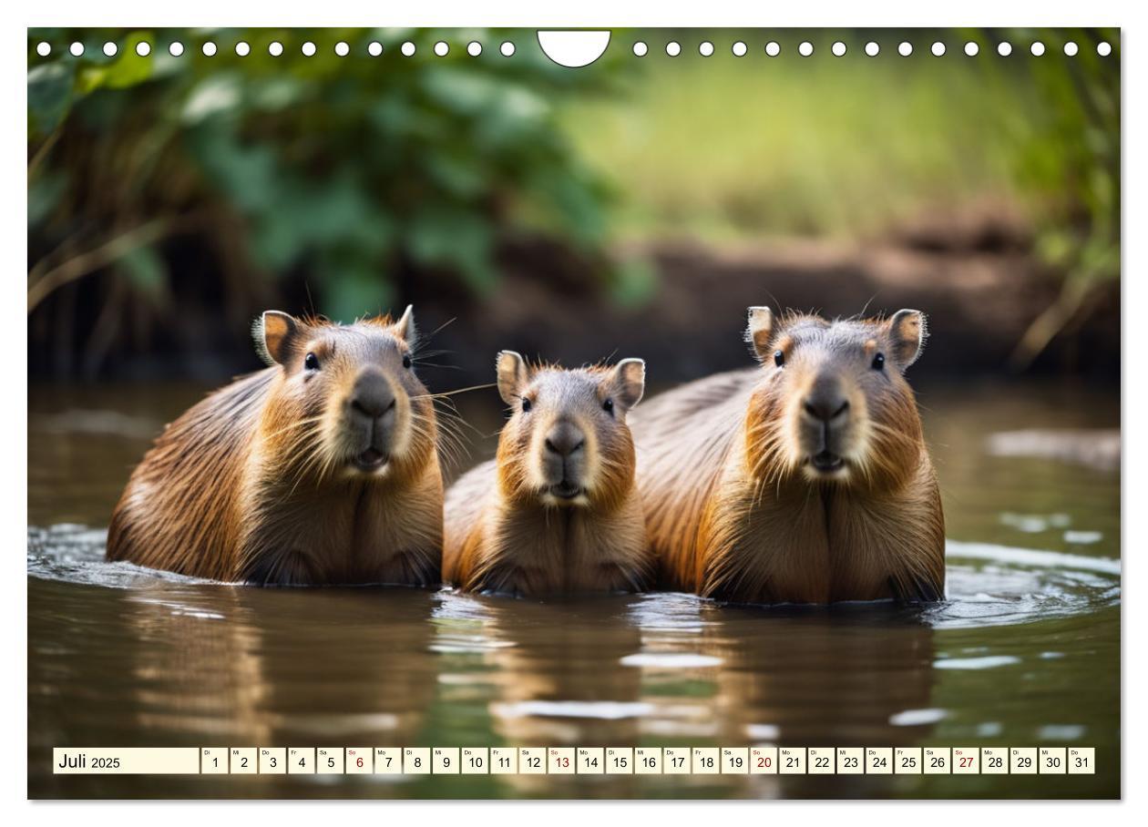 Bild: 9783457143759 | Capybaras - Wasserschweine die Herren der Gräser (Wandkalender 2025...