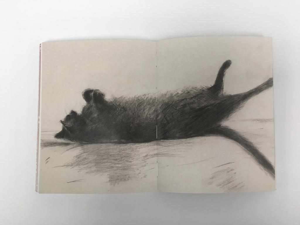 Bild: 9783832199166 | Katzen in der Kunst | Angus Hyland (u. a.) | Taschenbuch | 160 S.