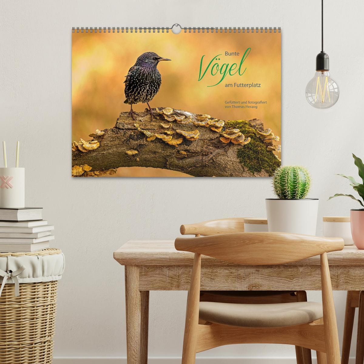 Bild: 9783435066049 | Bunte Vögel am Futterplatz (Wandkalender 2025 DIN A3 quer),...