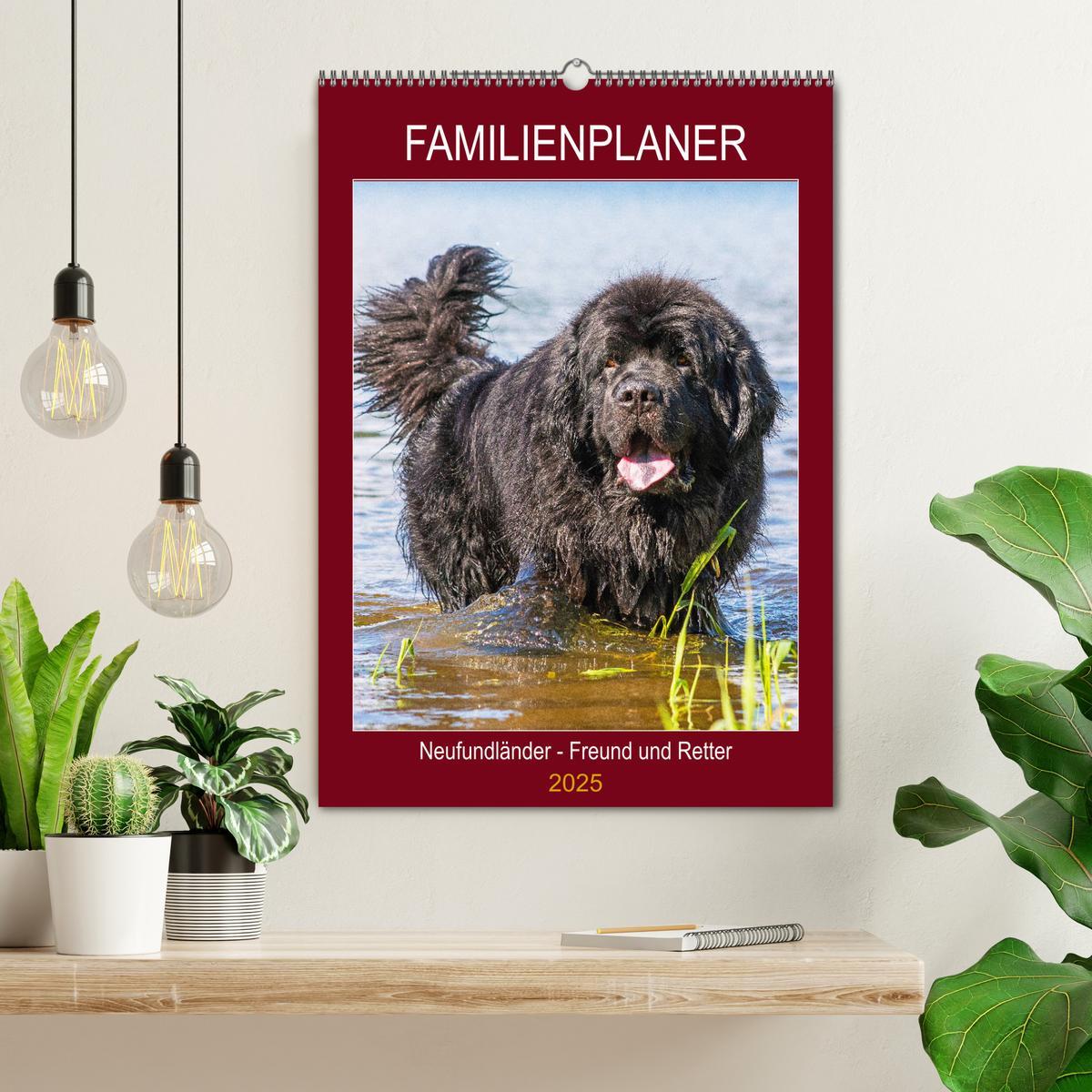 Bild: 9783435958320 | Familienplaner Neufundländer - Freund und Retter (Wandkalender 2025...