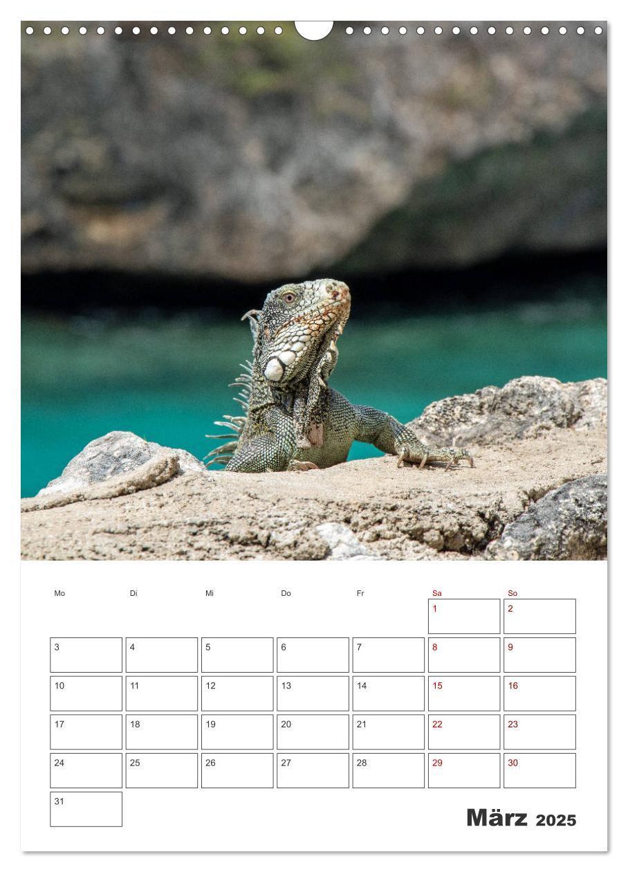 Bild: 9783435909056 | Curacao - Terminplaner (Wandkalender 2025 DIN A3 hoch), CALVENDO...