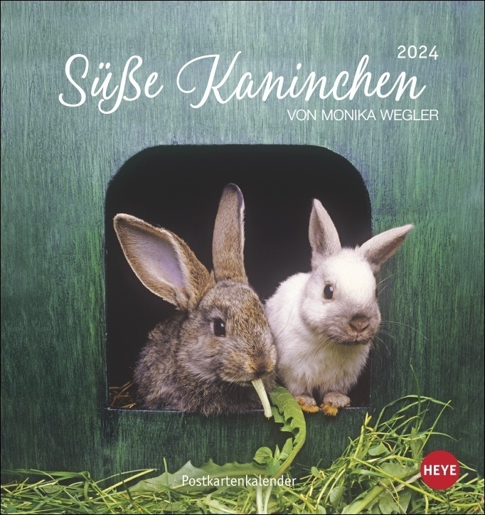 Cover: 9783756400621 | Süße Kaninchen Postkartenkalender 2024. Tierfotografin Monika...