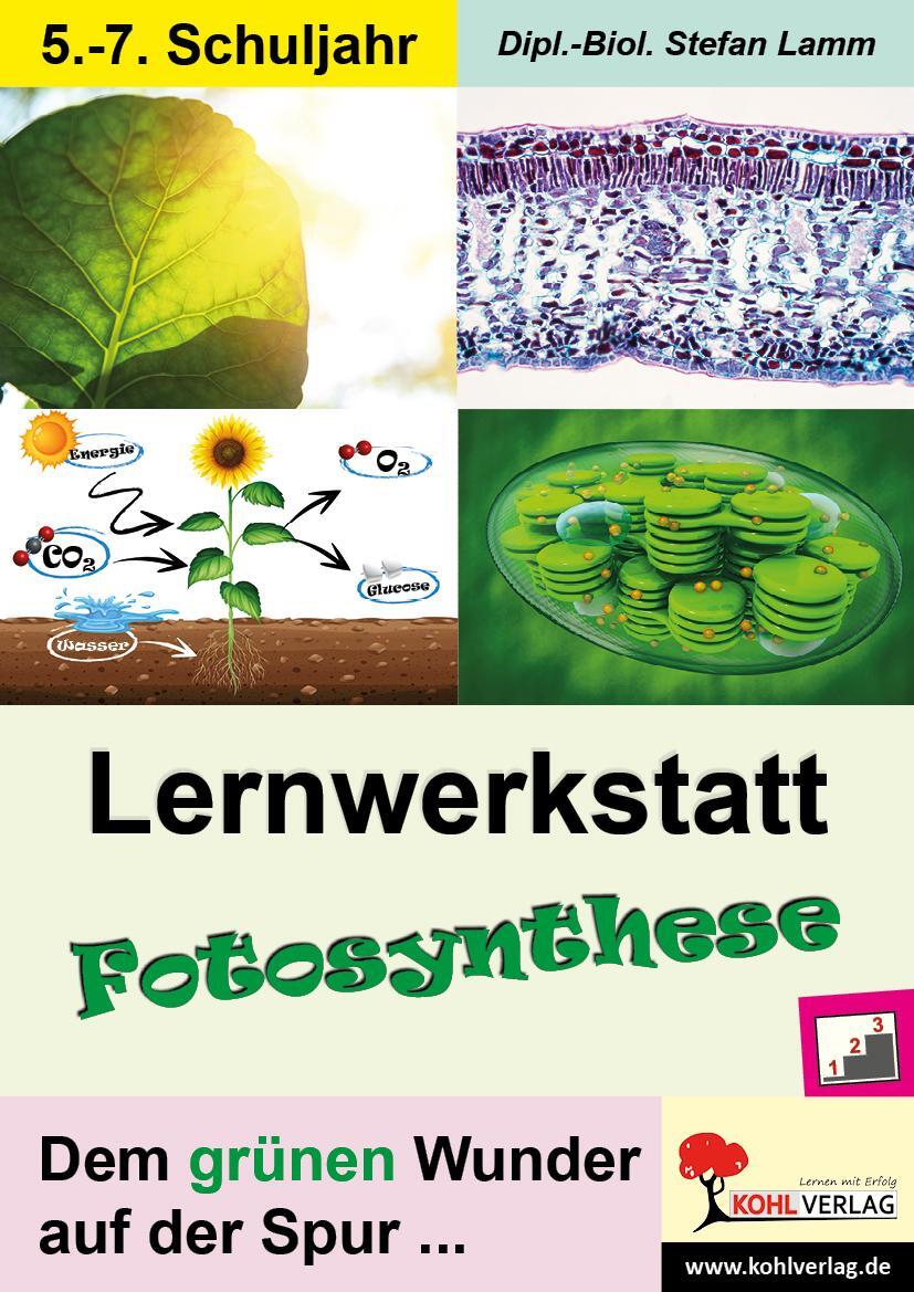 Cover: 9783988410078 | Lernwerkstatt Fotosynthese | Dem grünen Wunder auf der Spur ... | Lamm
