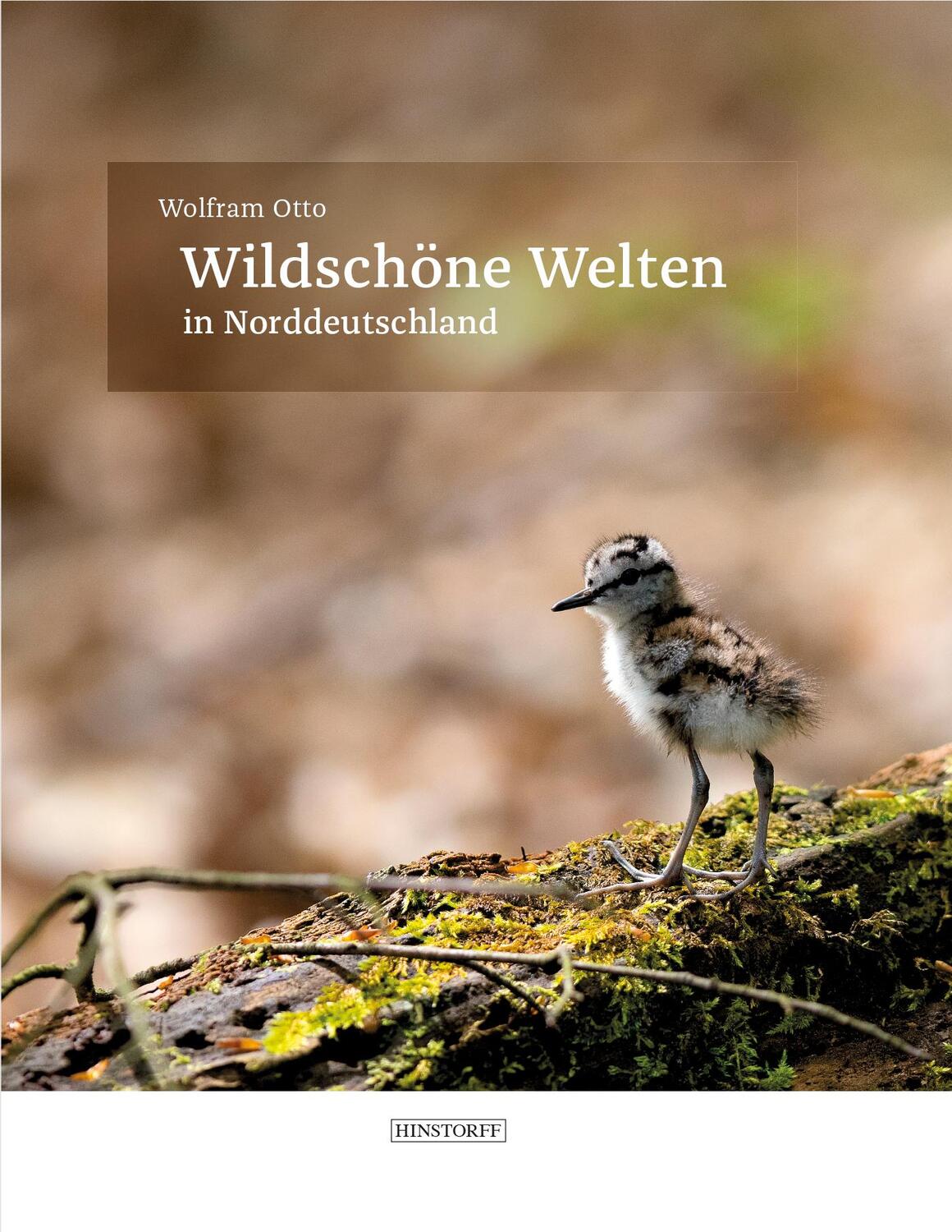 Cover: 9783356021691 | Wildschöne Welten | Im Nordosten Deutschlands | Wolfram Otto | Buch