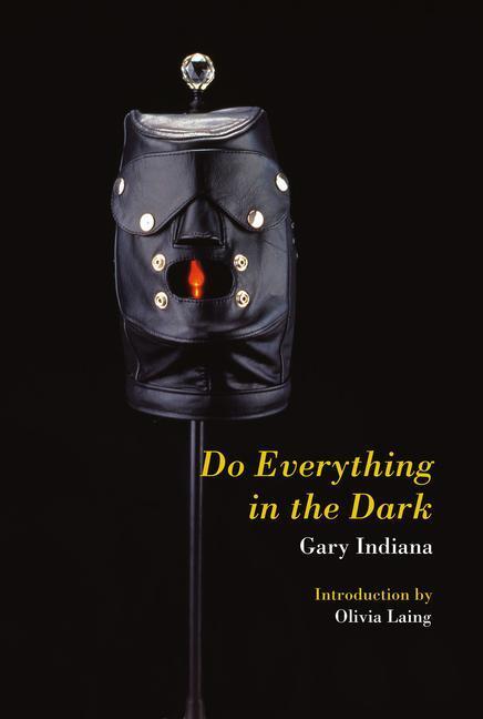 Cover: 9781635901863 | Do Everything in the Dark | Gary Indiana | Taschenbuch | Englisch