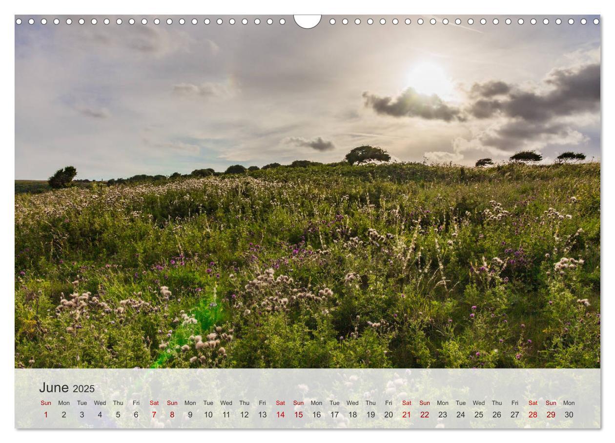 Bild: 9781325944170 | Eastbourne 2025 (Wall Calendar 2025 DIN A3 landscape), CALVENDO 12...