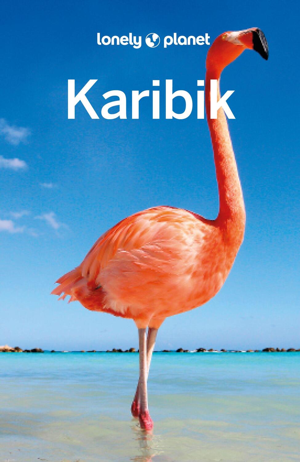 Cover: 9783575010131 | Lonely Planet Reiseführer Karibik | Paul Clammer (u. a.) | Taschenbuch