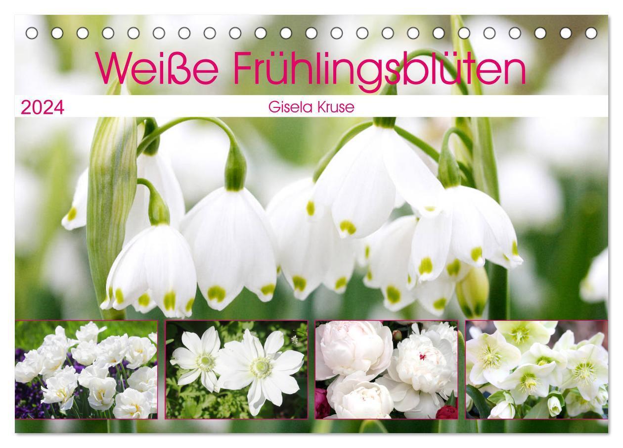 Cover: 9783675949140 | Weiße Frühlingsblüten (Tischkalender 2024 DIN A5 quer), CALVENDO...