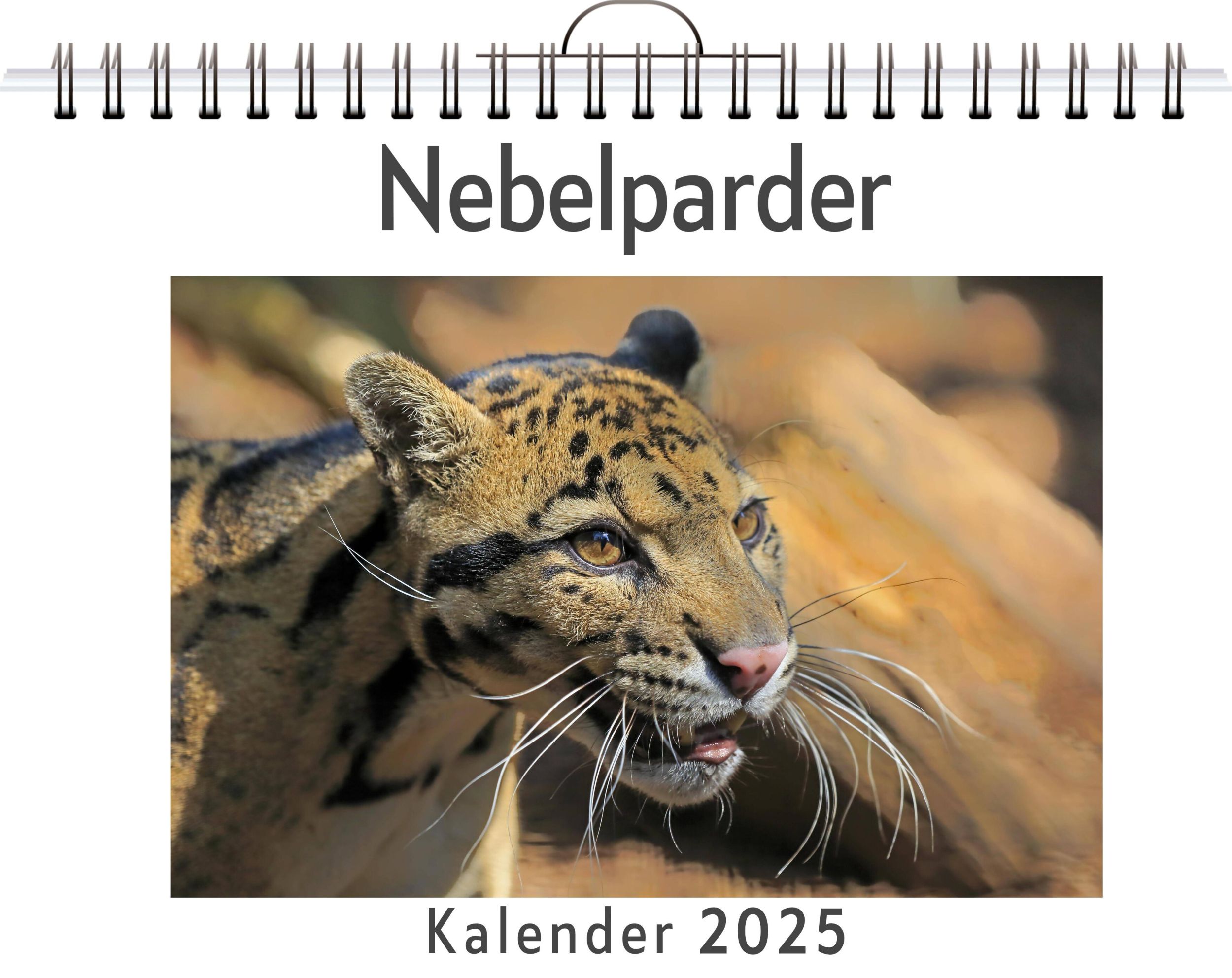 Cover: 9783759120526 | Nebelparder | Emily Schneider | Kalender | Kalender | 14 S. | Deutsch