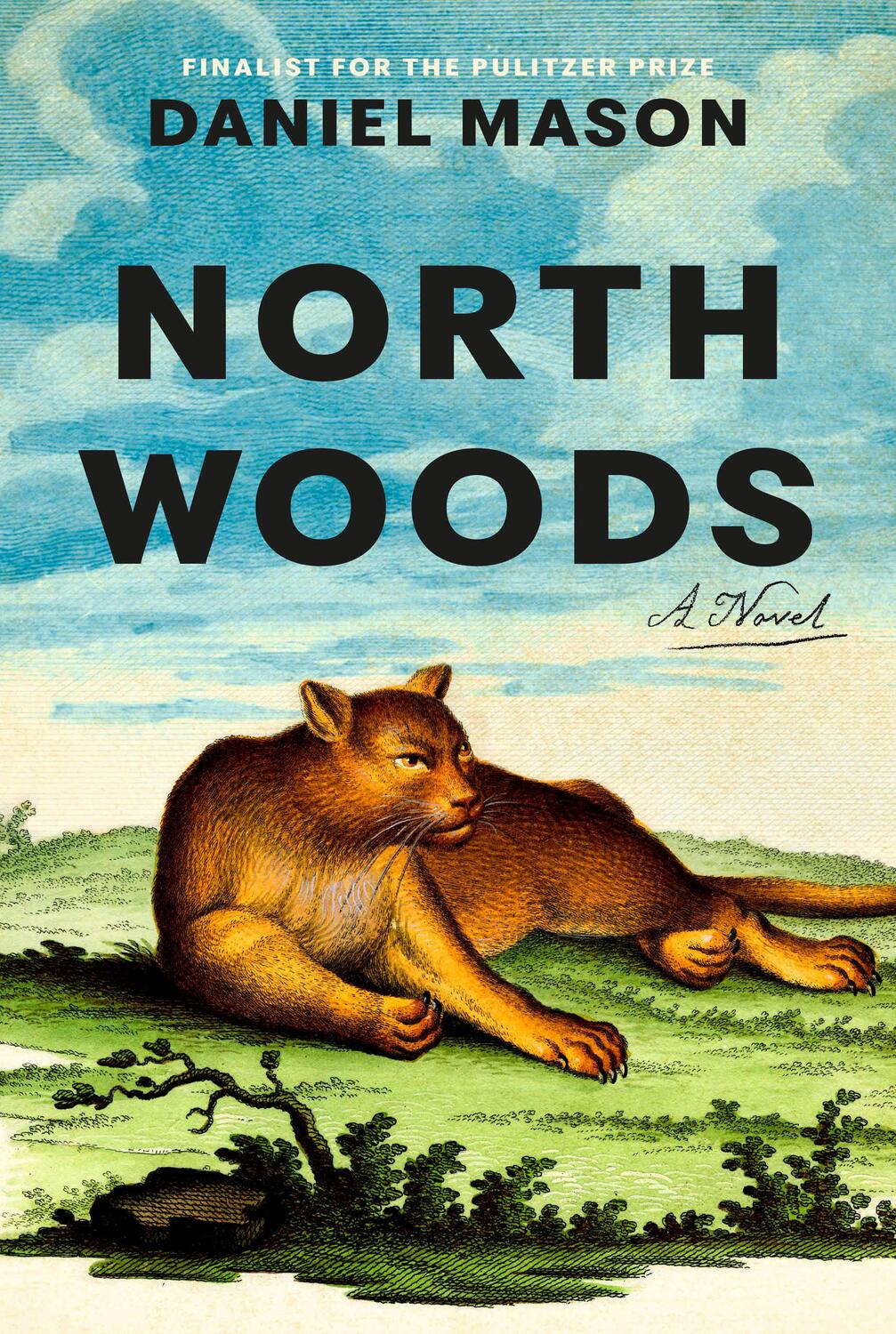 Cover: 9780593730621 | North Woods | A Novel | Daniel Mason | Taschenbuch | X | Englisch