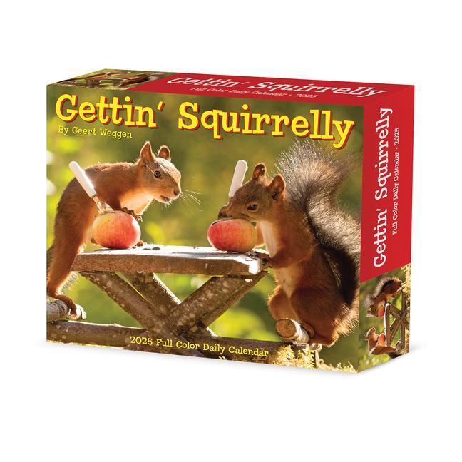 Cover: 9781549240850 | Gettin' Squirrelly 2025 6.2 X 5.4 Box Calendar | Kalender | Englisch