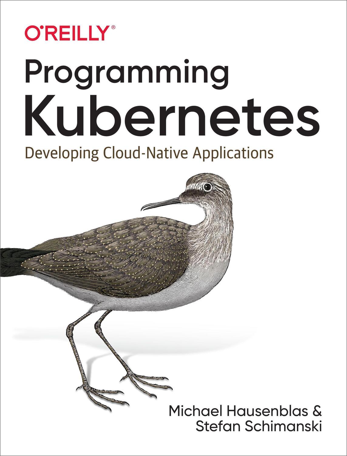 Cover: 9781492047100 | Programming Kubernetes | Developing Cloud-Native Applications | Buch