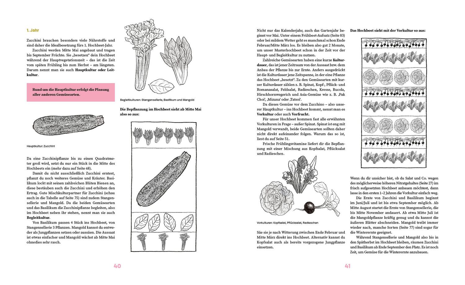 Bild: 9783706629959 | Das große Hochbeet-Buch | Doris Kampas | Buch | 232 S. | Deutsch