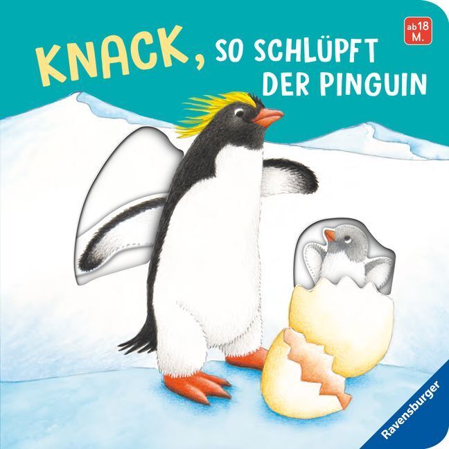 Cover: 9783473417742 | Knack, so schlüpft der Pinguin | Mein erstes Schiebebuch | Nahrgang