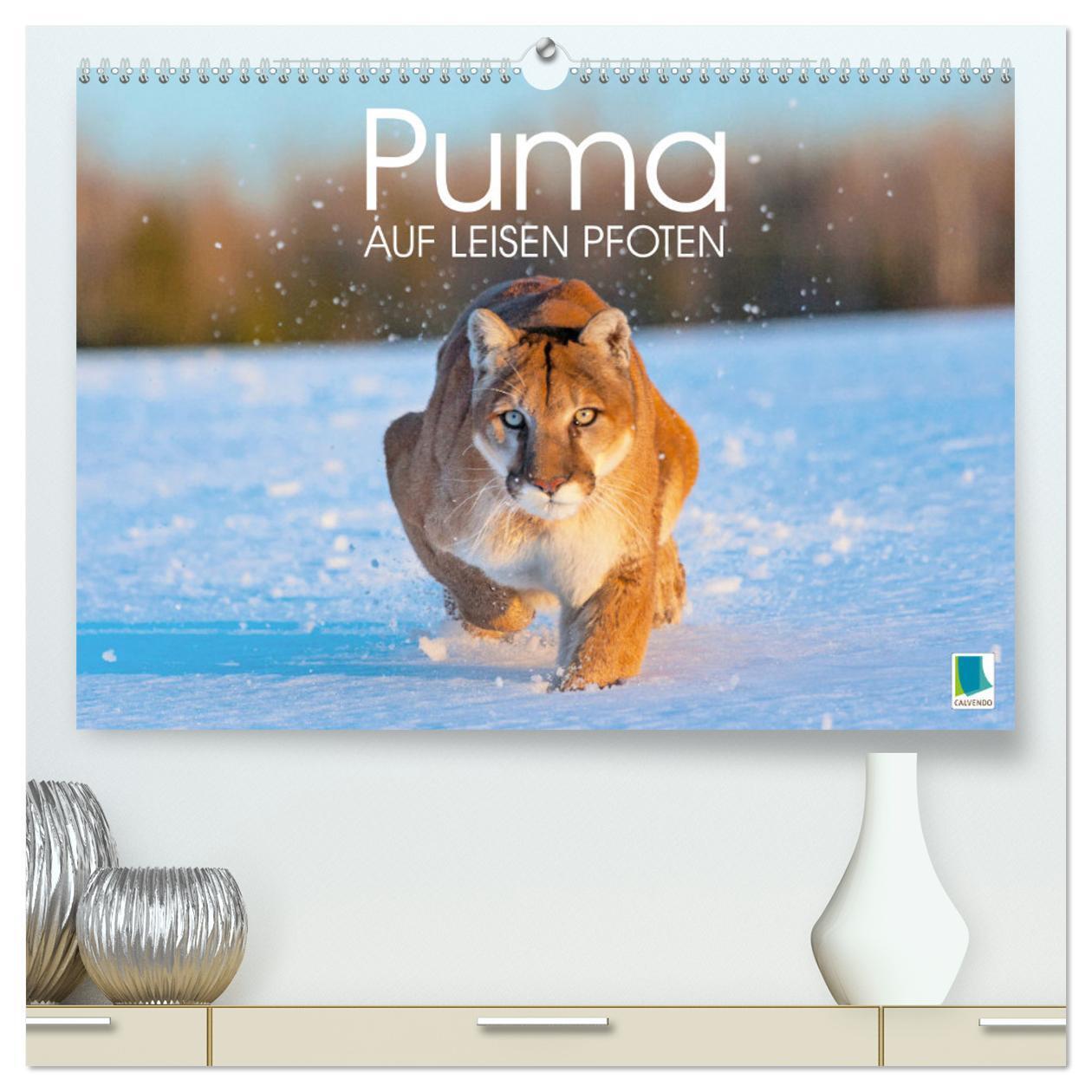 Cover: 9783383778278 | Puma: Auf leisen Pfoten (hochwertiger Premium Wandkalender 2025 DIN...