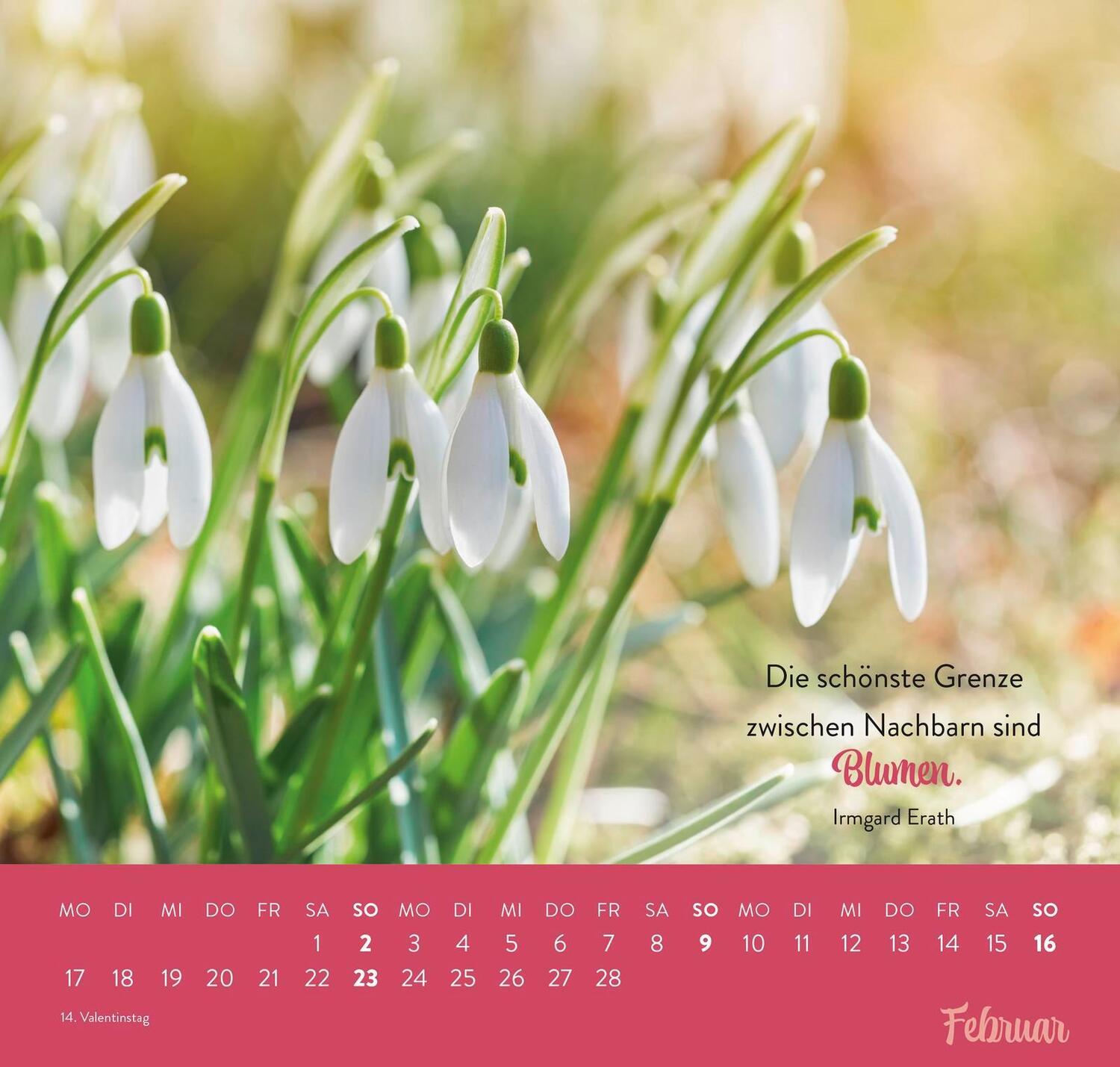 Bild: 4036442011874 | Wandkalender 2025: Für nette Nachbarn | Groh Verlag | Kalender | 12 S.